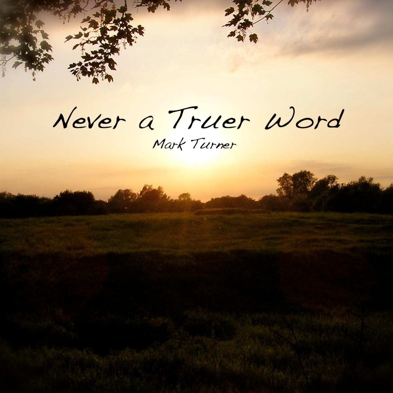 Never A Truer Word artwork